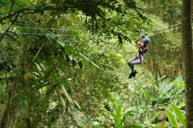 Treetop Adventure Park Canopy Tour - Twelve ziplines, 20 platforms, and four trails