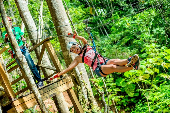Treetop Zipline Experience From Castries - At a glance: the details that matter