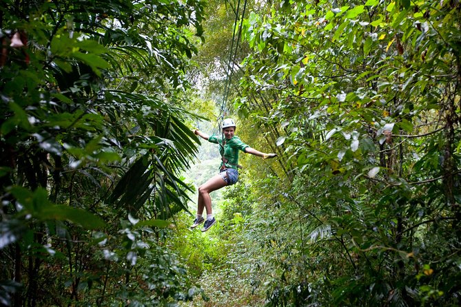 Treetop Zipline Experience From Castries - Twelve lines, from learning curve to real speed