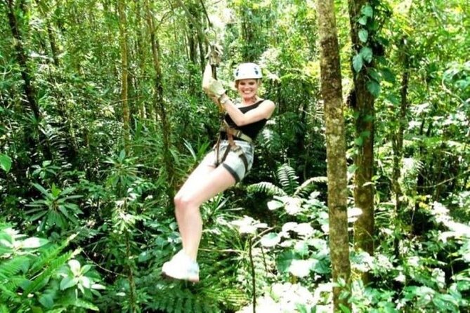 Treetops Fiji Zipline Tour with Drop off Transfer to Nadi Airport - Key points at a glance