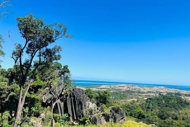 Treetops Fiji Zipline Tour with Drop off Transfer to Nadi Airport - Sixteen lines across five kilometres