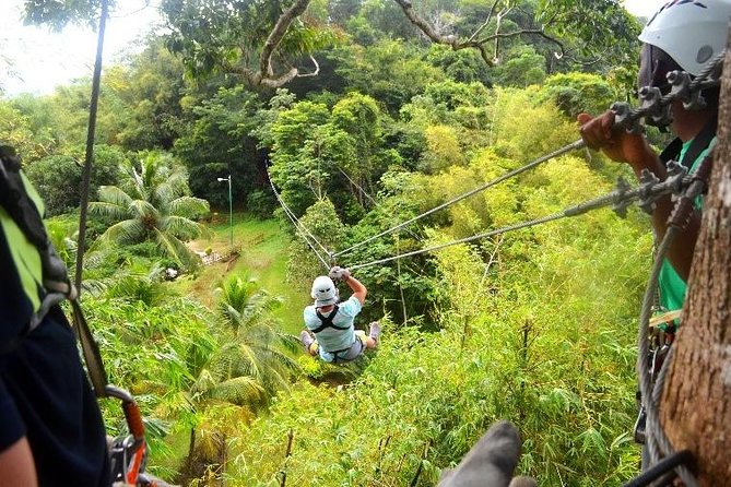Trinidad Zipline Adventure - Key points to know before booking