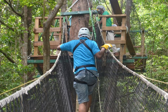 Trinidad Zipline Adventure - From Port of Spain to Trinidad’s North West Coast