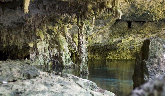 Tulum E-Bike Jungle Zip Line/Repel Snorkel Cenote + Lunch - Key points to know before you book