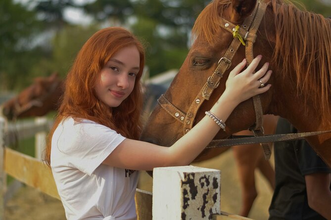 Tulum Jungle Horseback Ride + ATV + Ziplines + Cenote Combo Tour - Quick Takeaways From the Jungle