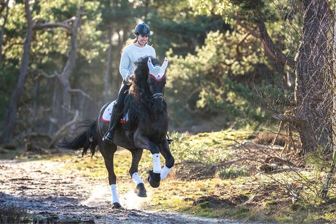 Tulum Jungle Horseback Ride + ATV + Ziplines + Cenote Combo Tour - What Your Five Hours Actually Include