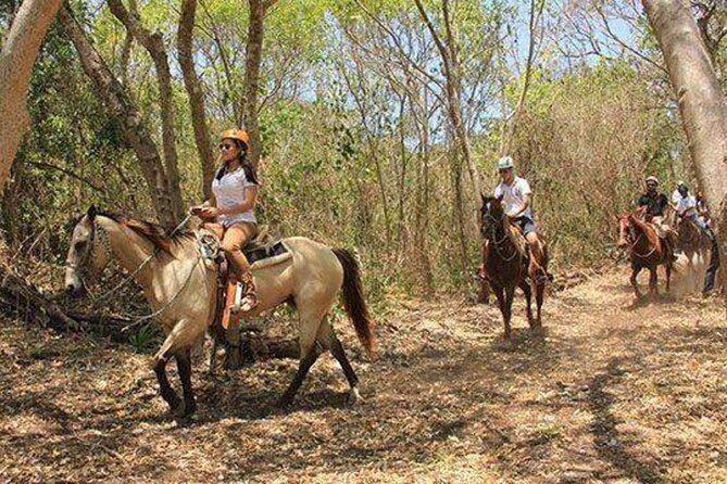 Tulum Jungle Horseback Ride + ATV + Ziplines + Cenote Combo Tour - Horseback Riding: A Brief Add-On