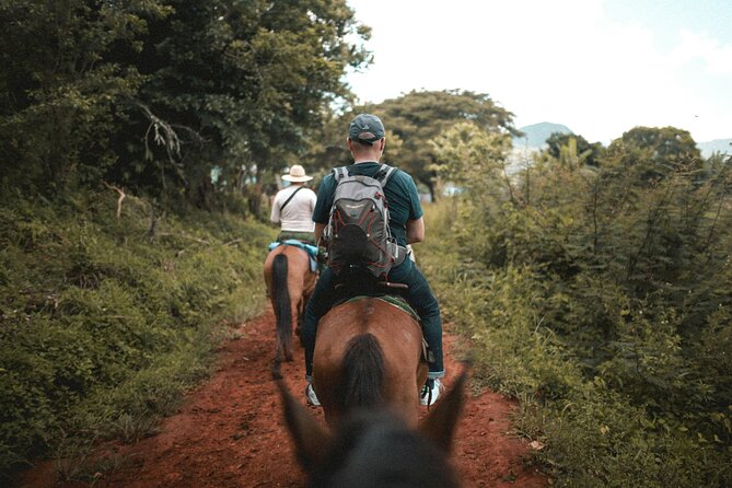 Tulum Jungle Horseback Ride + ATV + Ziplines + Cenote Combo Tour - Lunch, Hammocks, and a Needed Pause