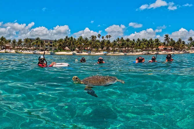 Turtle Snorkeling and Jungle Adventure with Cenote - Two Riviera Maya worlds in one day