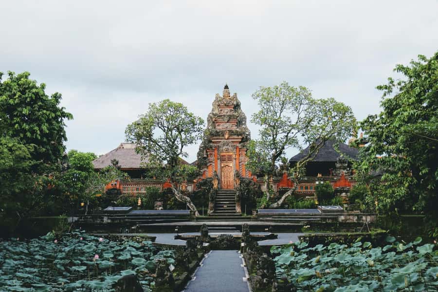 Ubud 3-in-1: Swing, Zipline & SkyBike Adventure - Tegallalang brings the famous rice terrace views