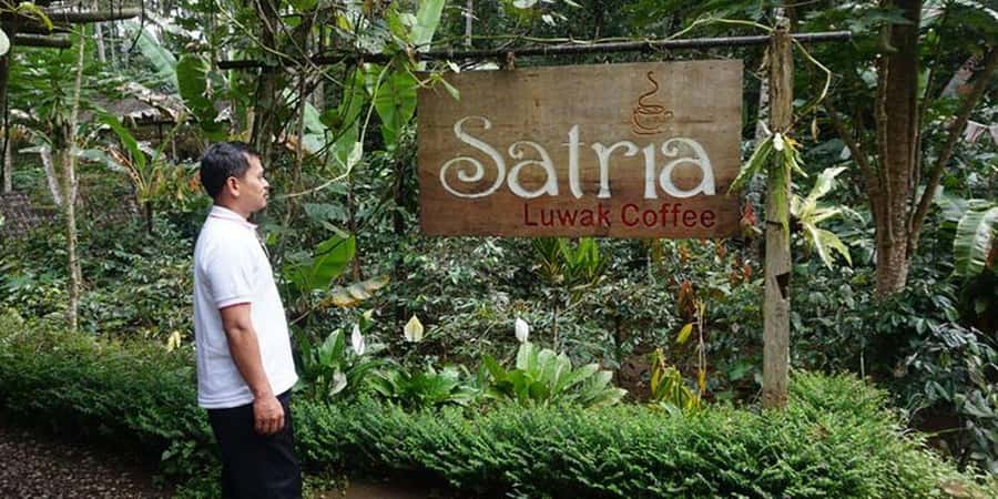 Ubud 3-in-1: Swing, Zipline & SkyBike Adventure - Tirta Empul adds a cultural pause