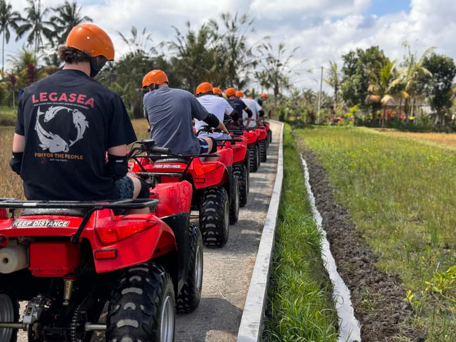 Ubud: ATV Quad Bike & Zip-Line Adventure with Meal - Flying above the Tegalalang rice terraces