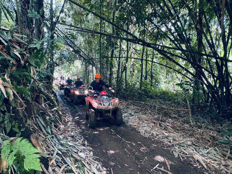 Ubud: ATV Quad Bike & Zip-Line Adventure with Meal - What to pack for a muddy, busy day