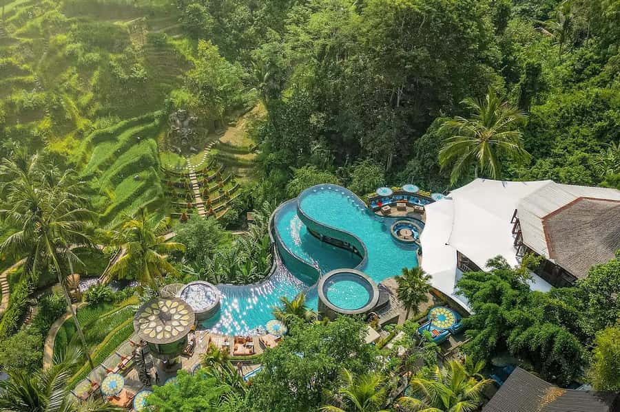 Ubud: ATV Quad Bike, Zip-line and Cretya Alas Harum Tour - Ziplining above Alas Harum’s rice terraces