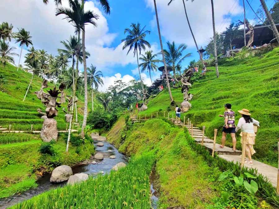 Ubud: ATV Quad Bike, Zip-line and Cretya Alas Harum Tour - Cretya Pool for the slow finish