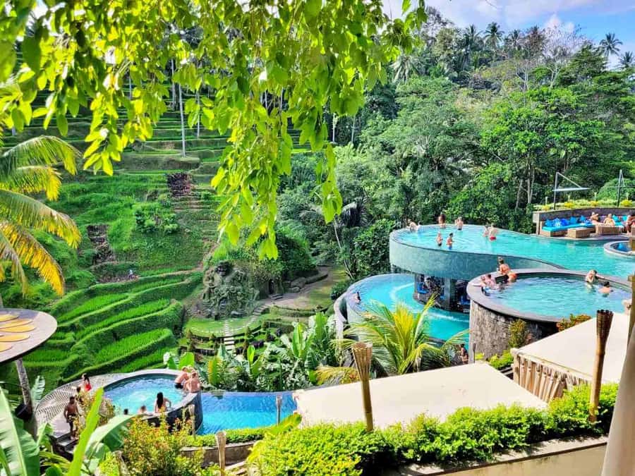 Ubud: Batur Cafe Sunrise, Zip-Line & Cretya Day Club Tour - Who should book this seven-hour Bali outing?