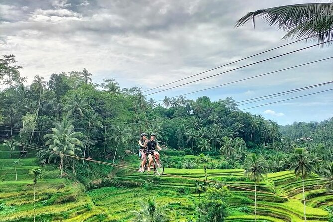 Ubud Half Day Skybike and Zipline Rice Terrace Tour - Tampaksiring Coffee and Tea With a Jungle View
