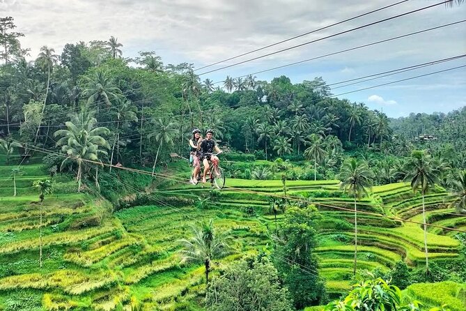Ubud Half Day Skybike and Zipline Rice Terrace Tour - Private Transport and the Role of the Driver
