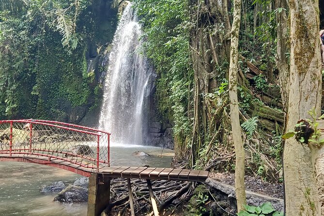 Ubud Half Day Skybike and Zipline Rice Terrace Tour - Weight Rules and Practical Preparation