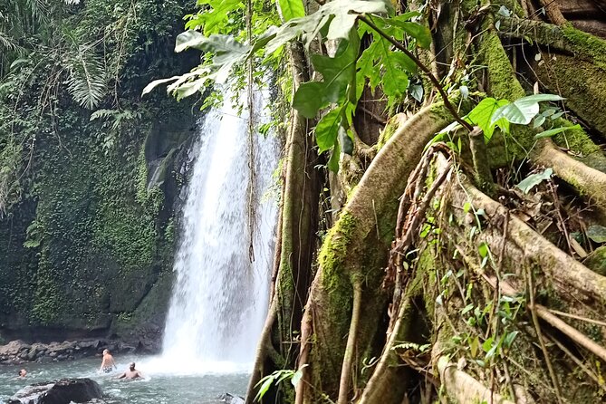 Ubud Half Day Zipline and Jungle Swing - Why the driver can shape your day