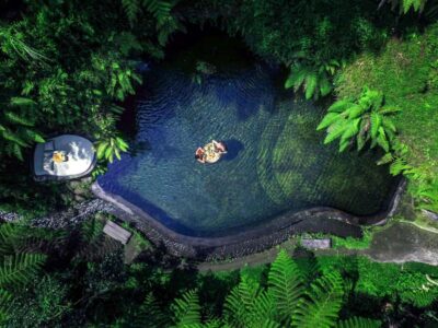 Half-Day Zipline and Jungle Swing Adventure