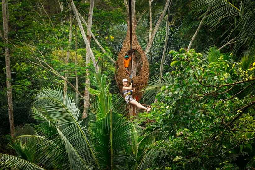 Ubud: Half-Day Zipline and Jungle Swing Adventure - The natural jungle pool requires a walk