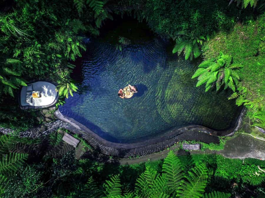 Ubud: Half-Day Zipline and Jungle Swing Adventure - The zipline over Ubud’s tropical greenery