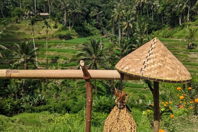 Ubud Half Day Zipline and Jungle Swing - Starting with Ubud’s rice terraces