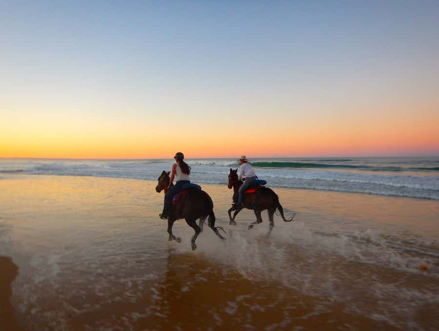 Ubud: Horse Riding, Zip-Line Tour & Waterfall Tour - Quick take: what makes this Bali day special