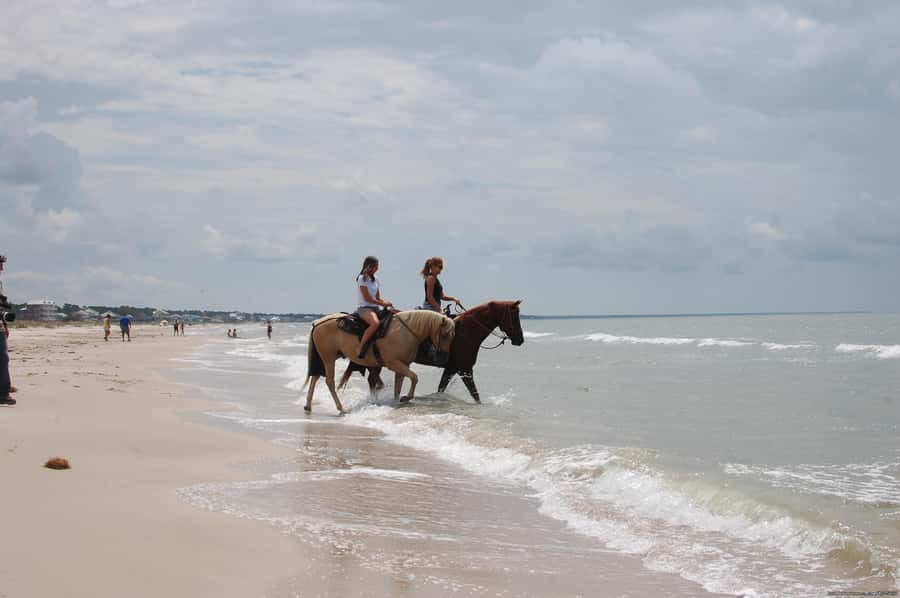 Ubud: Horse Riding, Zip-Line Tour & Waterfall Tour - How much value do you get for $44?