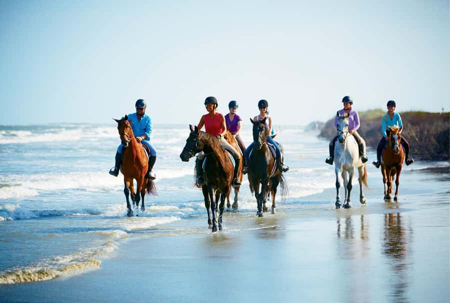 Ubud: Horse Riding, Zip-Line Tour & Waterfall Tour - Who should book this day?
