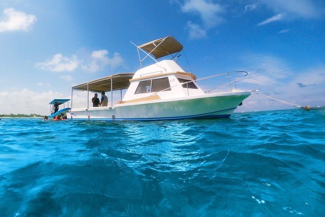 Ultimate 5x1 Combo with ATV, Ziplines, Cenote & Reef Snorkeling - From Cancun hotels to Puerto Morelos Reef