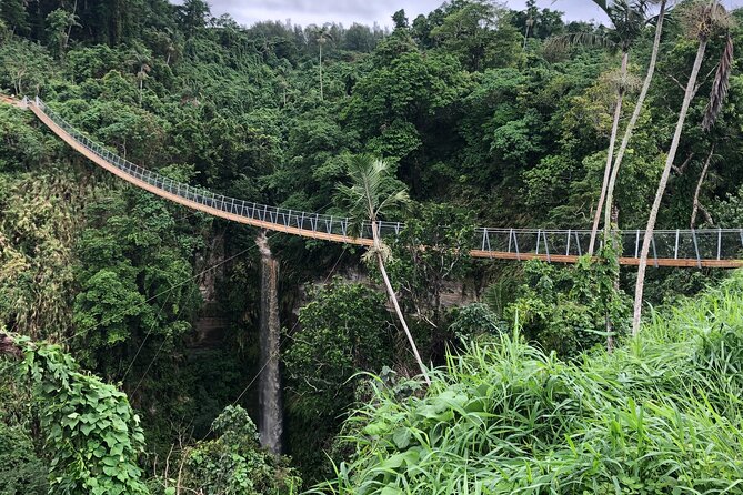 Vanuatu Jungle Zipline, Swing and Skybridge Combo with Transfer - Is $164.97 good value?