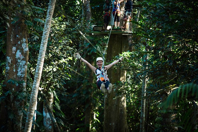 Vanuatu Jungle Zipline with Transfers - Entering the Vanuatu Jungle Zipline course