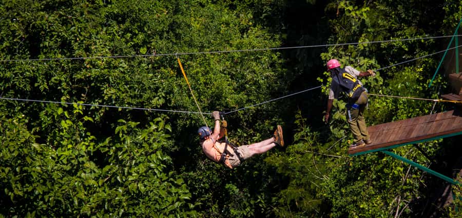 Victoria Falls: Canopy Tour with Transfers - Entering the Hardwood Forest Above the Zambezi Gorges
