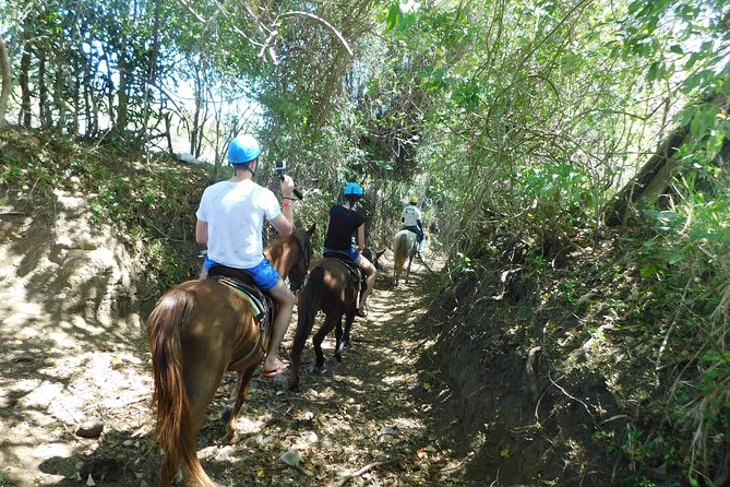 VIP DayPass: ATV, ZipLine, Horse Riding / Shore Excursion & Hotel - Pickup from Puerto Plata and cruise-port planning