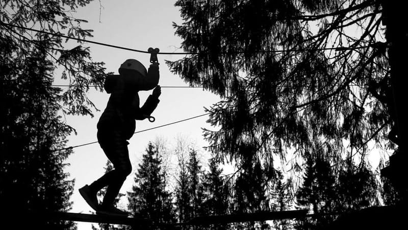 Voss High Rope & Zipline Park - What You Actually Do in the Park