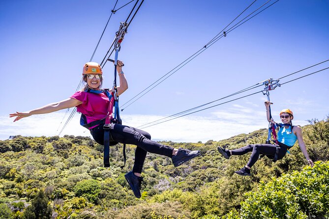 Waiheke Island Day Tour: Ziplining, Wine Tasting & Vineyard Lunch - Key points at a glance
