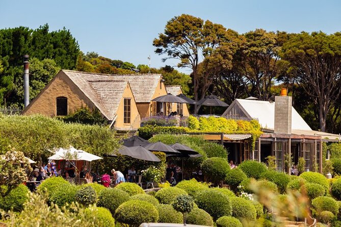 Waiheke Island Day Tour: Ziplining, Wine Tasting & Vineyard Lunch - Ecozip’s three flights and forest walk