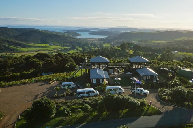 Waiheke Island: Zipline And Forest Walk - Why this Waiheke adventure works so well