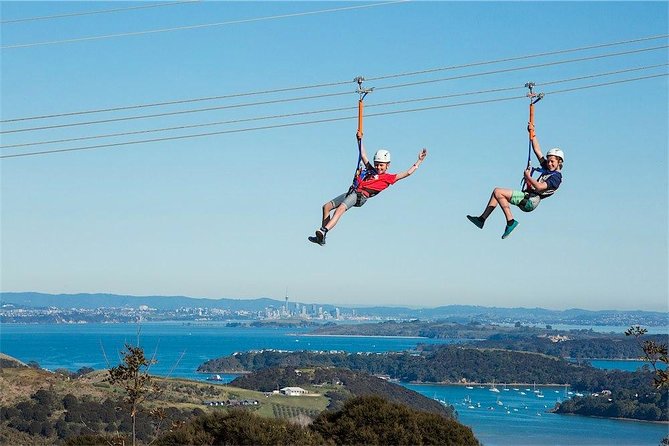 Waiheke Island: Zipline And Forest Walk - Three flights from vineyard to native forest