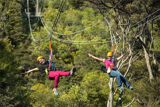 Waiheke Island: Zipline And Forest Walk - The forest walk is half the experience