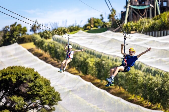Waiheke Island: Zipline And Forest Walk - What $92.47 really covers