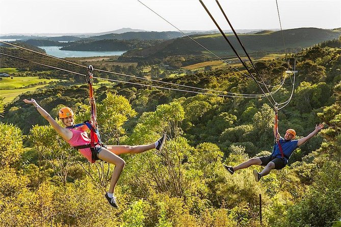 Waiheke Island: Zipline And Forest Walk - Who should book this experience