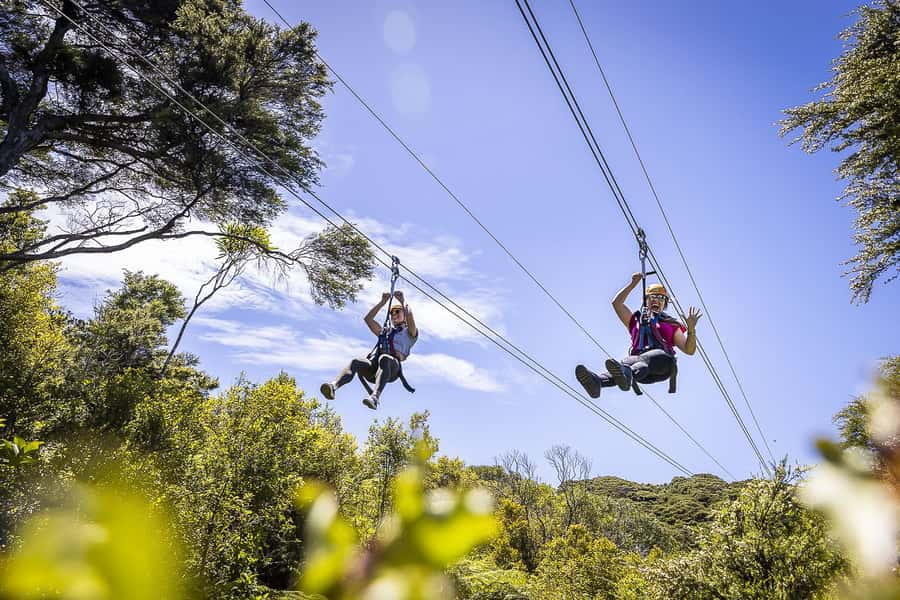 Waiheke Island: Zipline and Native Forest Adventure Trip - Getting fitted for three forest flights