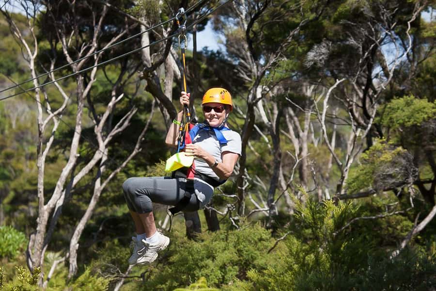 Waiheke Island: Zipline and Native Forest Adventure Trip - Guides, safety, and the conservation angle
