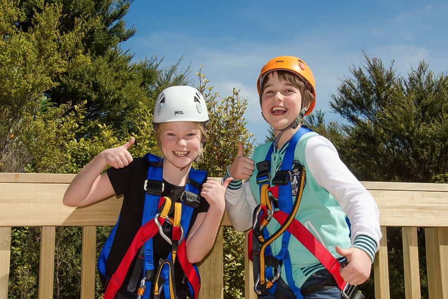 Waiheke Island: Zipline and Native Forest Adventure Trip - Is $89 good value?