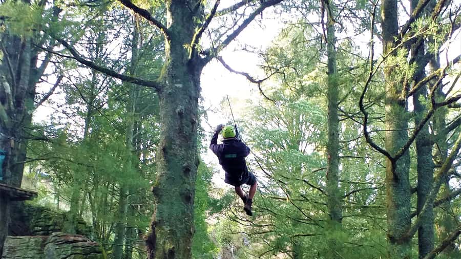 Waitomo Caves 1-Kilometer-Long Zipline Tour - What the Waitomo zipline tour is really like