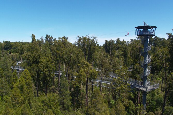 West Coast Tower Zipline & Treetop Walk Combo - Flying on the tandem zipline