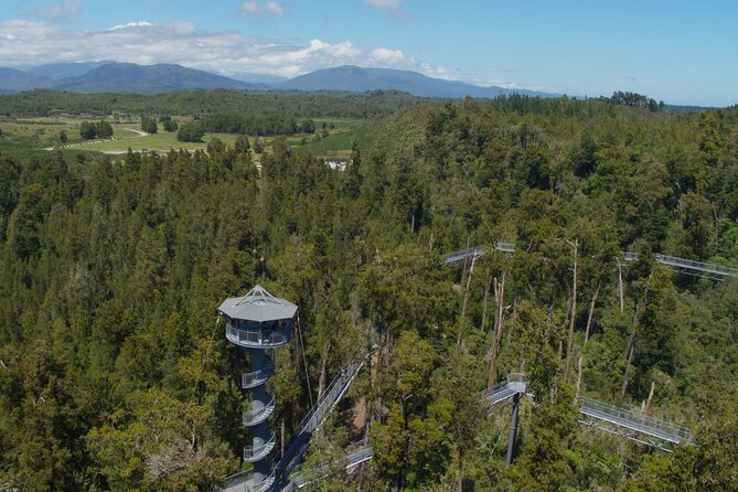 West Coast Tower Zipline & Treetop Walk Combo - How the guide and safety setup shape the experience